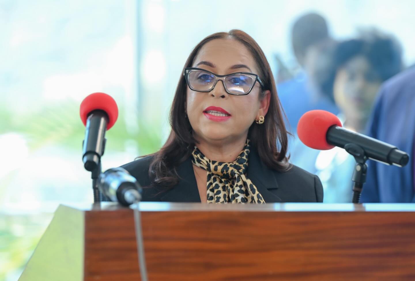 Vers la stabilité en Haïti: Raina Forbin intensifie une diplomatie d’action auprès des partenaires stratégiques